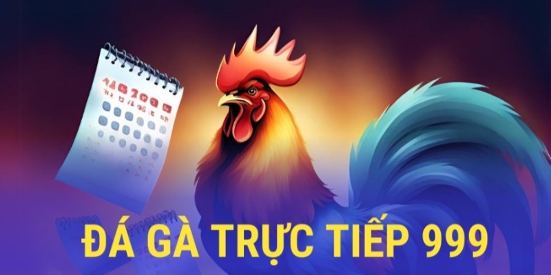 Đá Gà Trực Tiếp 999 -  Kịch Tính Trong Từng Trận Đấu